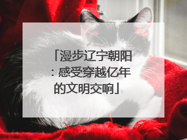 漫步辽宁朝阳：感受穿越亿年的文明交响