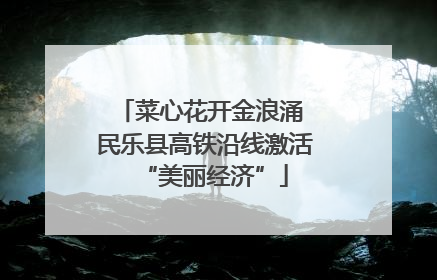 菜心花开金浪涌 民乐县高铁沿线激活“美丽经济”