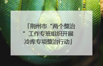 荆州市“两个整治”工作专班组织开展冷库专项整治行动
