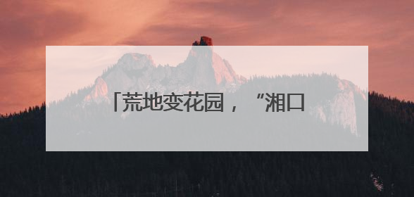 荒地变花园，“湘口之心”好称心！武汉经开区5000余居民推门见绿满眼风景