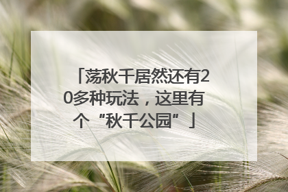 荡秋千居然还有20多种玩法，这里有个“秋千公园”