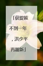 获提拔不到一年，洪少平再履新