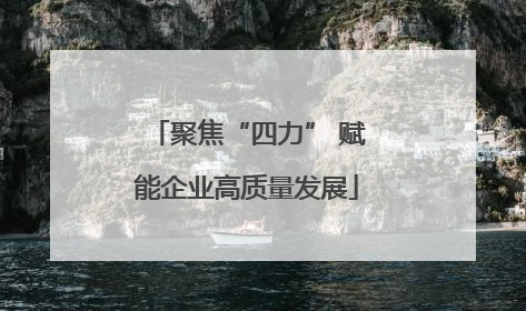 聚焦“四力” 赋能企业高质量发展