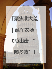 聚焦北大荒｜延军农场：飞防出击 “一喷多效”