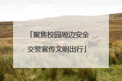 聚焦校园周边安全 交警宣传文明出行