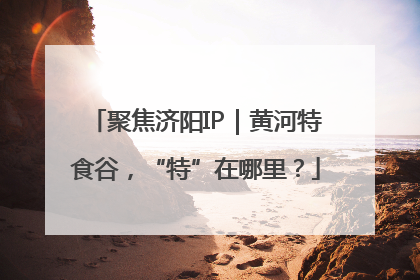 聚焦济阳IP｜黄河特食谷，“特”在哪里？