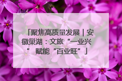 聚焦高质量发展｜安徽巢湖：文旅“一业兴” 赋能“百业旺”