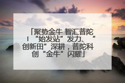 聚势金牛 智汇普陀〡“始发站”发力、“创新田”深耕，普陀科创“金牛”闪耀
