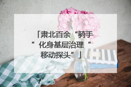 肃北百余“骑手”化身基层治理“移动探头”