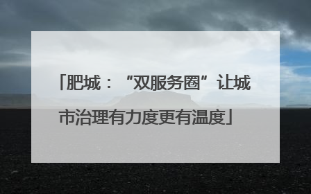 肥城：“双服务圈”让城市治理有力度更有温度
