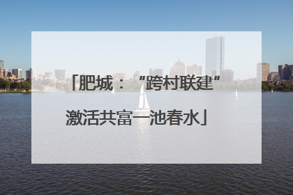 肥城：“跨村联建”激活共富一池春水