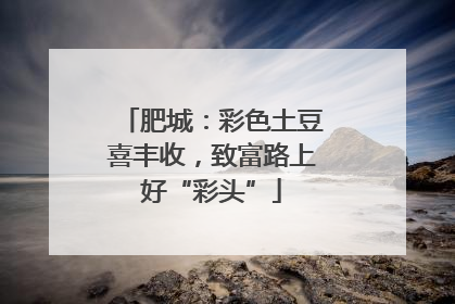 肥城：彩色土豆喜丰收，致富路上好“彩头”