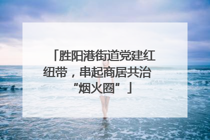 胜阳港街道党建红纽带，串起商居共治 “烟火圈”