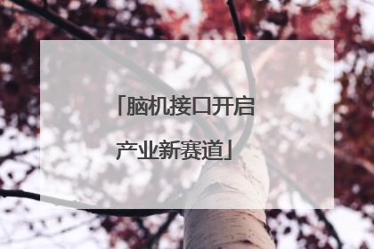 脑机接口开启产业新赛道