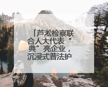 芦淞检察联合人大代表“典”亮企业，沉浸式普法护航小微发展