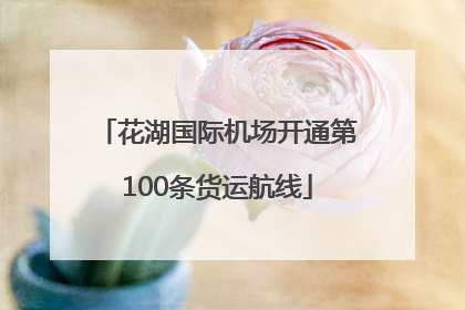 花湖国际机场开通第100条货运航线