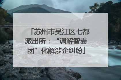 苏州市吴江区七都派出所：“调解智囊团”化解涉企纠纷