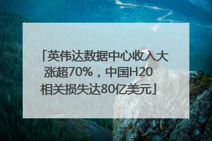 英伟达数据中心收入大涨超70%，中国H20相关损失达80亿美元
