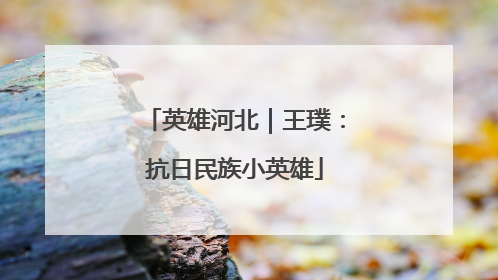英雄河北｜王璞：抗日民族小英雄