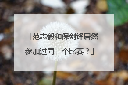 范志毅和保剑锋居然参加过同一个比赛？