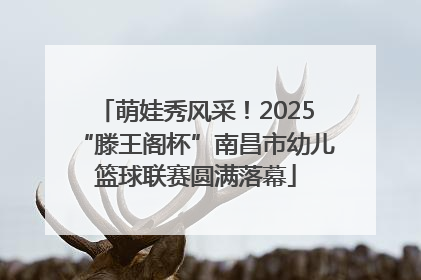 萌娃秀风采！2025“滕王阁杯”南昌市幼儿篮球联赛圆满落幕