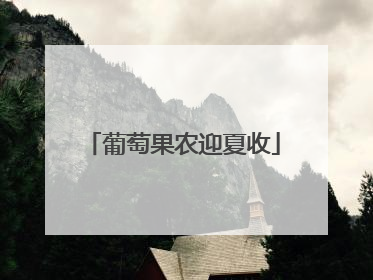 葡萄果农迎夏收