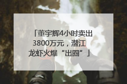 董宇辉4小时卖出3800万元，潜江龙虾火爆“出圈”