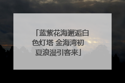 蓝紫花海邂逅白色灯塔 金海湾初夏浪漫引客来