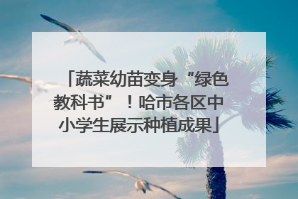 蔬菜幼苗变身“绿色教科书”！哈市各区中小学生展示种植成果