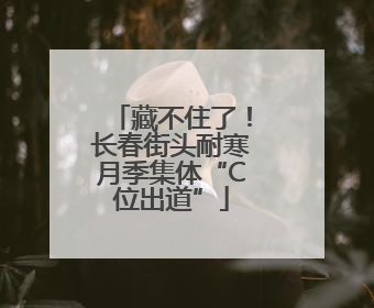 藏不住了！长春街头耐寒月季集体“C位出道”