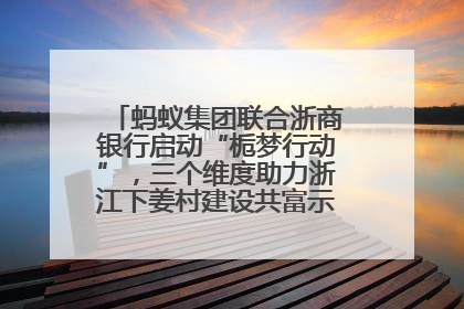 蚂蚁集团联合浙商银行启动“栀梦行动”，三个维度助力浙江下姜村建设共富示范区示范点