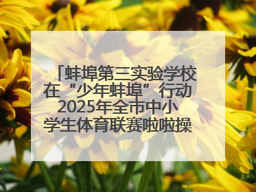蚌埠第三实验学校在“少年蚌埠”行动2025年全市中小学生体育联赛啦啦操比赛中获佳绩