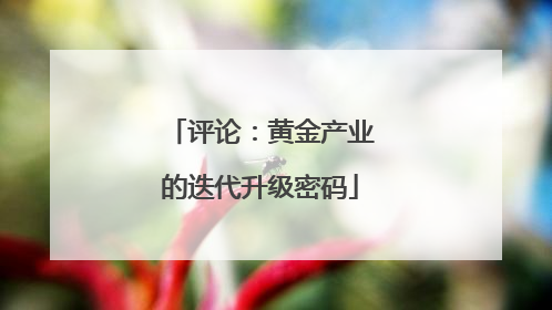 评论：黄金产业的迭代升级密码