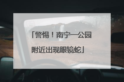 警惕！南宁一公园附近出现眼镜蛇