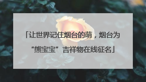 让世界记住烟台的萌，烟台为“熊宝宝”吉祥物在线征名