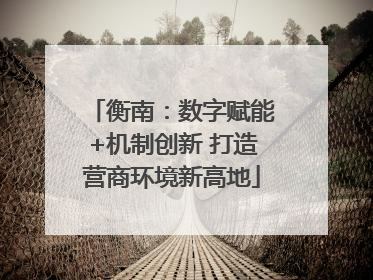 衡南：数字赋能+机制创新 打造营商环境新高地