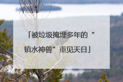 被垃圾掩埋多年的“镇水神兽”重见天日