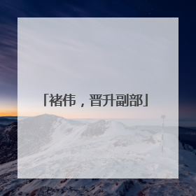 褚伟，晋升副部