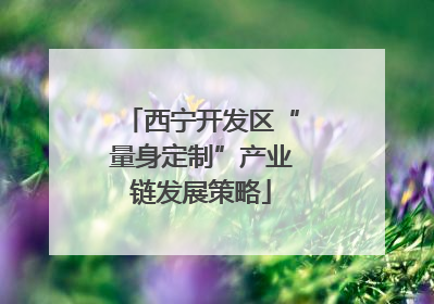 西宁开发区“量身定制”产业链发展策略