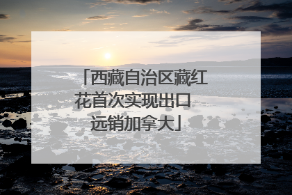 西藏自治区藏红花首次实现出口 远销加拿大
