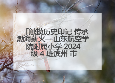 触摸历史印记 传承渤海薪火—山东航空学院附属小学 2024 级 4 班滨州 市档案馆研学实践活动