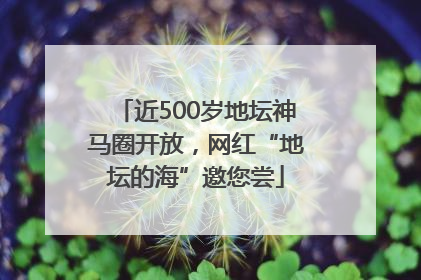 近500岁地坛神马圈开放，网红“地坛的海”邀您尝