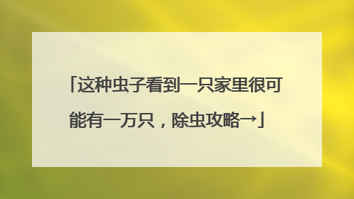 这种虫子看到一只家里很可能有一万只，除虫攻略→