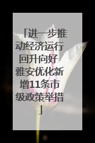 进一步推动经济运行回升向好 雅安优化新增11条市级政策举措
