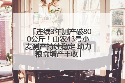 连续3年测产破800公斤！山农43号小麦测产持续稳定 助力粮食增产丰收