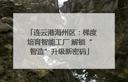 连云港海州区：梯度培育智能工厂 解锁“智造”升级新密码