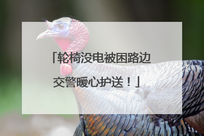 轮椅没电被困路边 交警暖心护送！