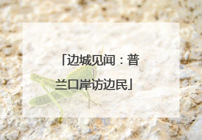 边城见闻：普兰口岸访边民