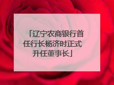 辽宁农商银行首任行长杨济时正式升任董事长