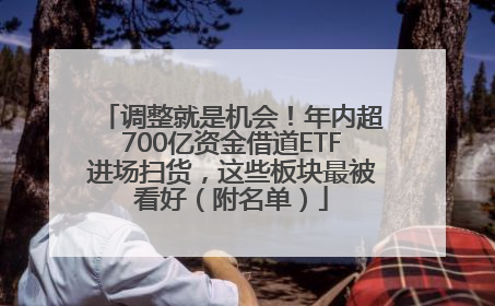 调整就是机会！年内超700亿资金借道ETF进场扫货，这些板块最被看好（附名单）